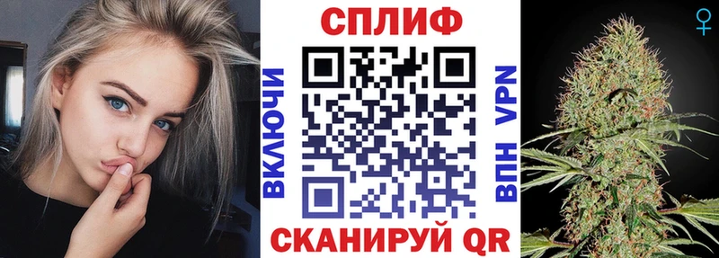 Бошки марихуана THC 21%  Купить  Новотроицк 